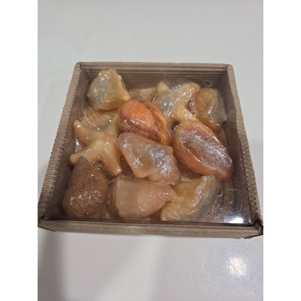 Beautiful Sea Shells Candles Set of 10 Seaside Ocean Decor HB